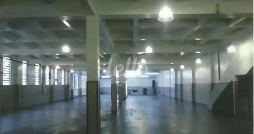 Barracão / Galpão / Depósito para alugar na Rua Júlio Parigot, --, Vila Antonieta, São Paulo