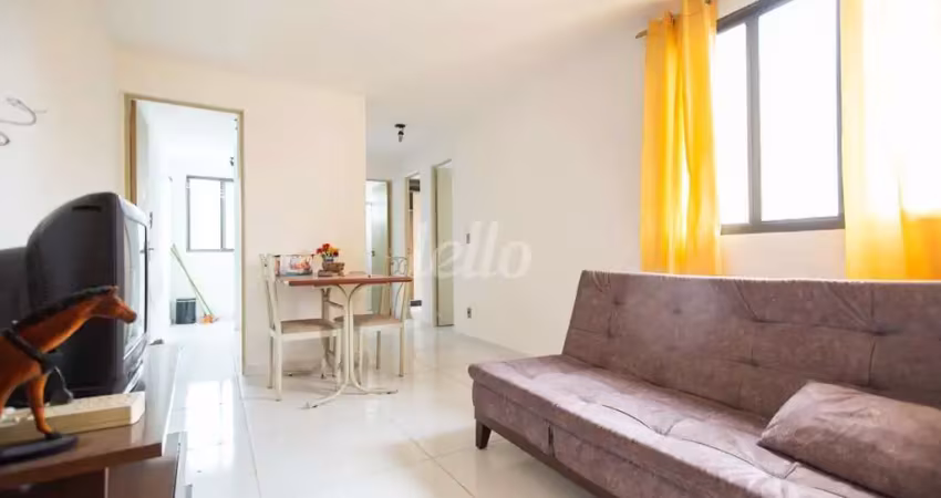 Apartamento com 2 quartos para alugar na Avenida Coronel Sezefredo Fagundes, --, Jardim Francisco Mendes, São Paulo