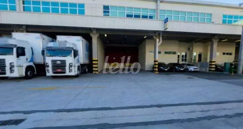 Barracão / Galpão / Depósito para alugar na Rod. Rodovia Coronel-Polícia Militar Nelson Tranchesi, --, Itaqui, Itapevi