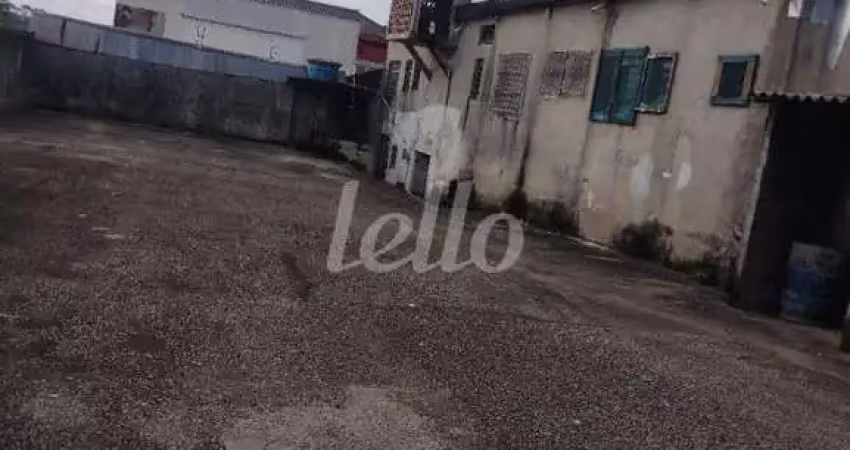 Terreno comercial para alugar na Avenida Furtado de Mendonça, --, Parque Colonial, São Paulo