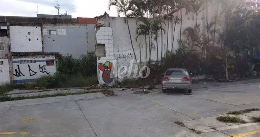 Terreno comercial para alugar na Rua Norma Pieruccini Giannotti, --, Barra Funda, São Paulo