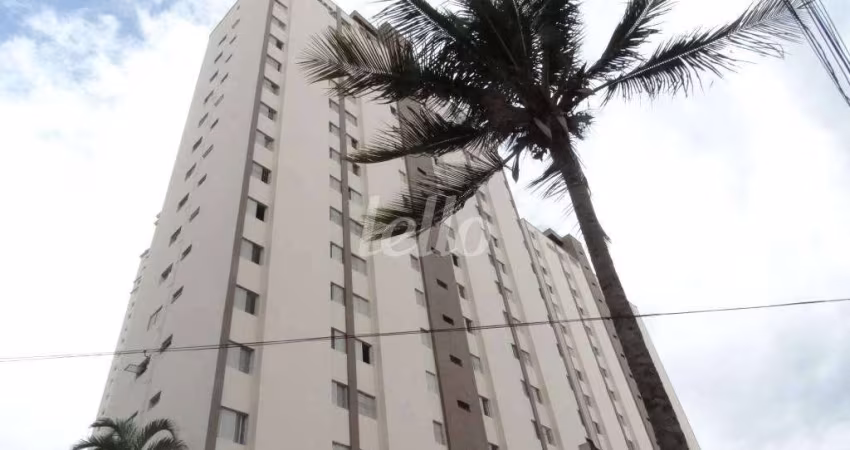 Apartamento com 3 quartos à venda na Rua Santo Egídio, 709, Chora Menino, São Paulo