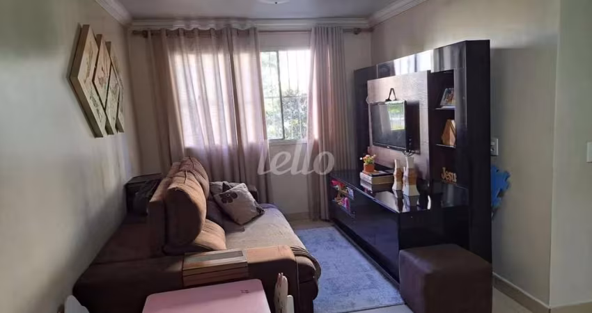 Apartamento com 2 quartos à venda na Rua Pedro Brasil Bandecchi, 175, Vila Amélia, São Paulo