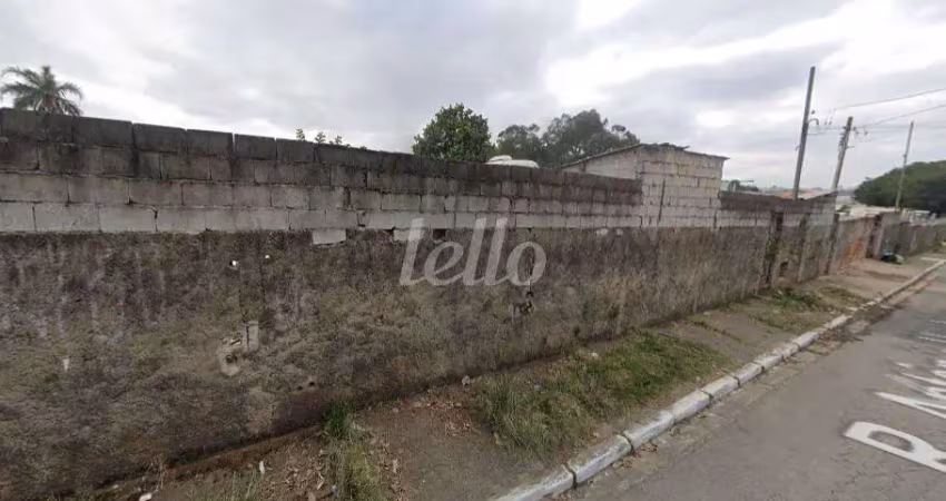 Terreno à venda na Rua Antônio Herdeiro, 185, Parque Fongaro, São Paulo