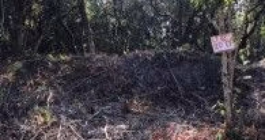 Terreno localizado no bairro Jardim Regina, em Itanhaém.