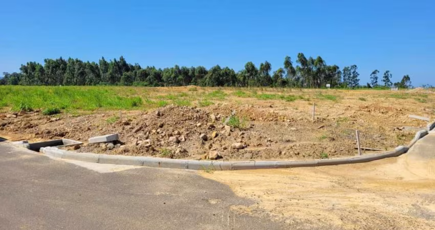 Terreno para Venda em Criciúma, Primeira Linha