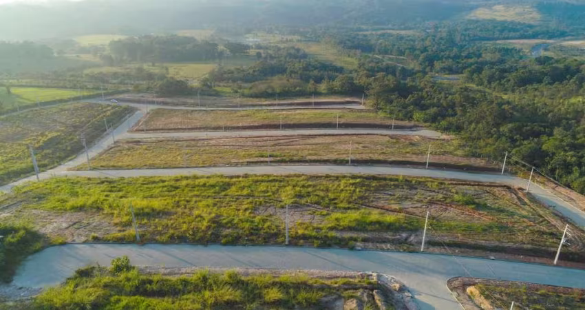 Terreno para Venda em Criciúma, Archimedes Naspolini