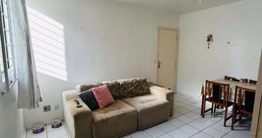 Apartamento para Venda em Criciúma, Mãe Luzia, 2 dormitórios, 1 banheiro, 1 vaga