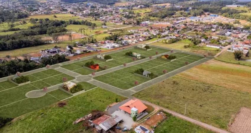 Terreno para venda em nova veneza, nossa senhora de caravaggio