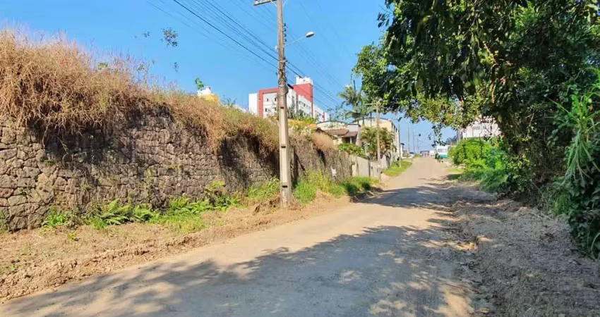 Terreno à venda na Rua Regina Aparecida, Vila Francesa, Criciúma