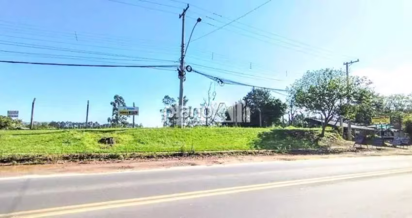 Terreno à venda, com 31.095m², - jardim do cedro - gravataí / rs por r$ 4.575.000,00