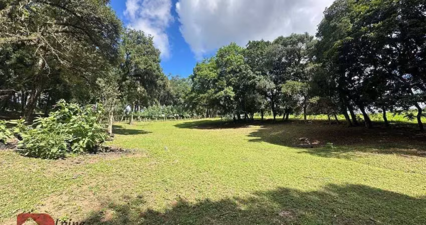 Chácara com 1 dormitório à venda, 11000 m² por R$ 850.000,00 - Campo Do Meio - Campo Largo/PR