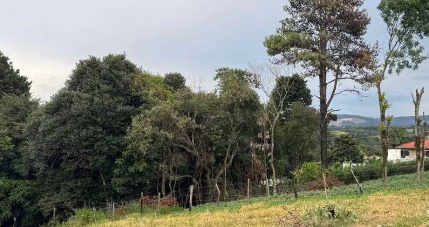 Terreno à venda, 225 m² por r$ 136.500,00 - campo do meio - campo largo/pr