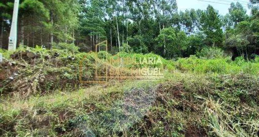 Terreno à venda em Nova Petrópolis - RS