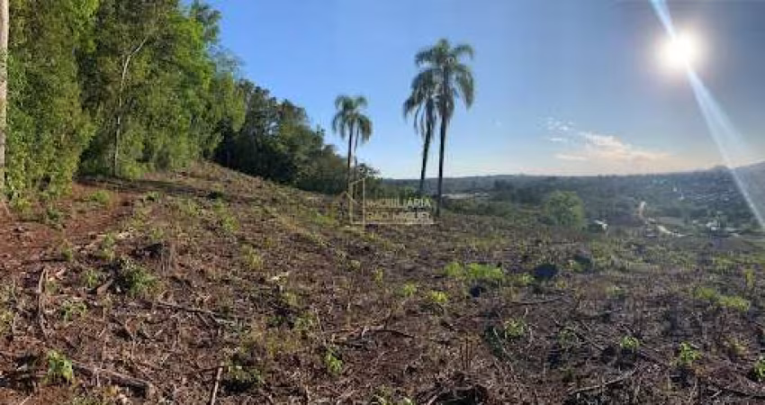 Área, 65.568,78m², à venda em Dois Irmãos, Bairro Navegantes