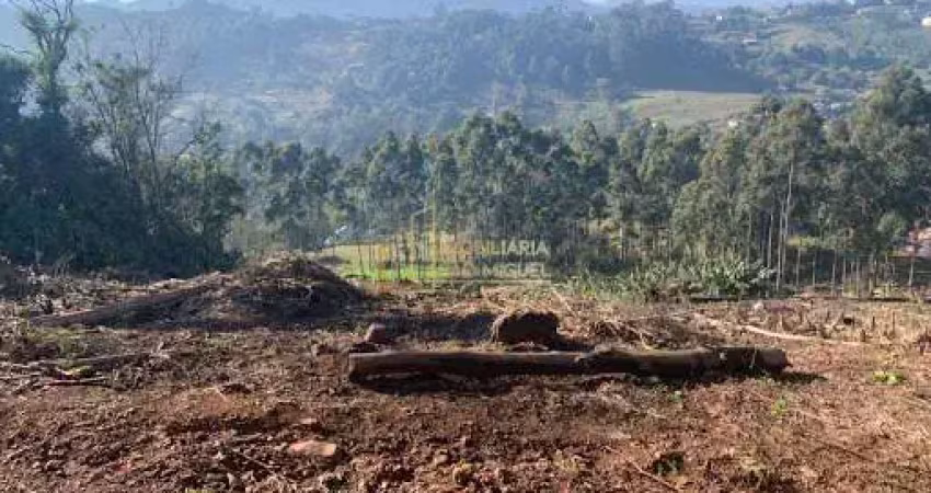 Área, 8900.1m², à venda em dois irmãos, vale esquerdo