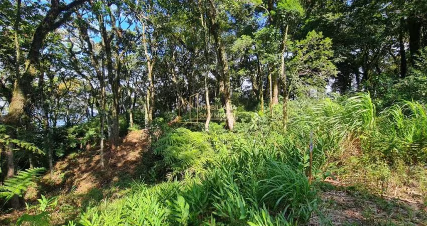 Área de Terras á Venda em São José do Herval, Morro Reuter/RS