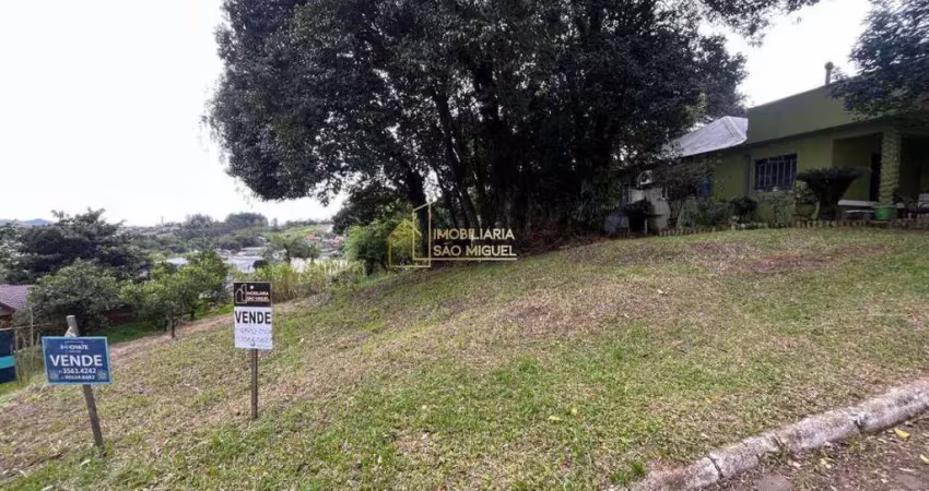 Terreno à venda na Avenida Vinte e Cinco de Julho, Floresta, Dois Irmãos