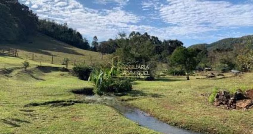 Sítio, 50000m², à venda em Morro Reuter, Linha Cristo Rei