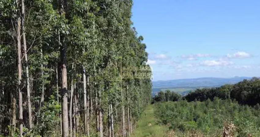 Chácara / sítio à venda na Sapiranga, São Jacó, Sapiranga