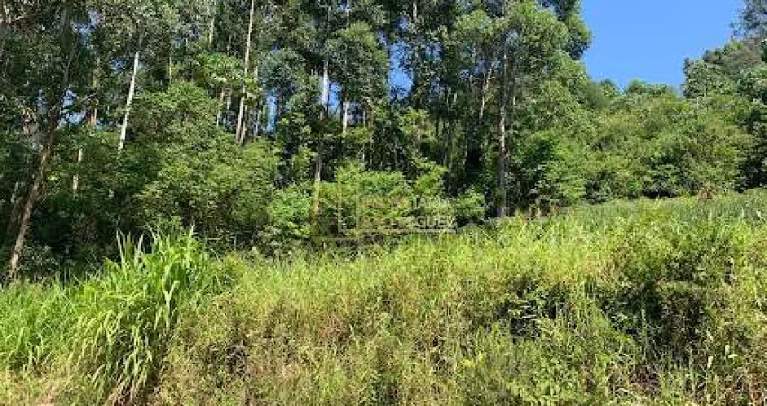 Chácara, à venda em Morro Reuter, Morro Reuter