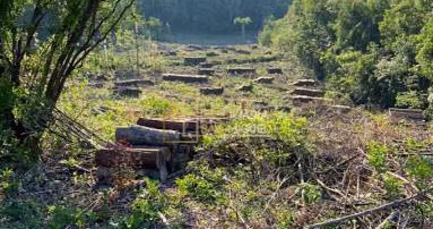 Terreno à venda em Dois Irmãos, Industrial