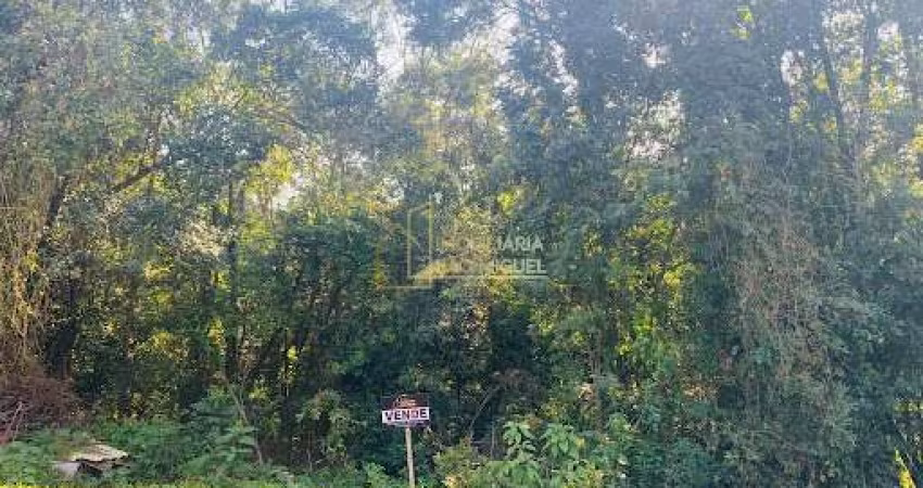 Terreno, 1000m², à venda em Dois Irmãos, Travessão