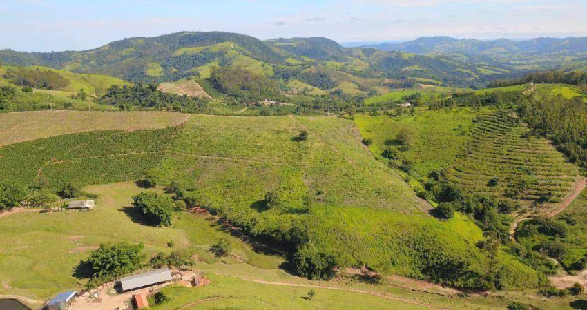 Área Rural à venda - Bairro das Tabaranas - Serra Negra/SP