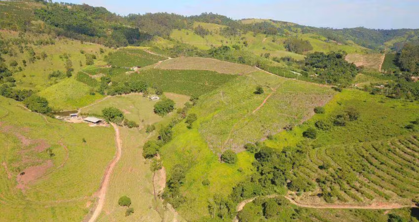 Área rural à venda - bairro das tabaranas - serra negra/sp