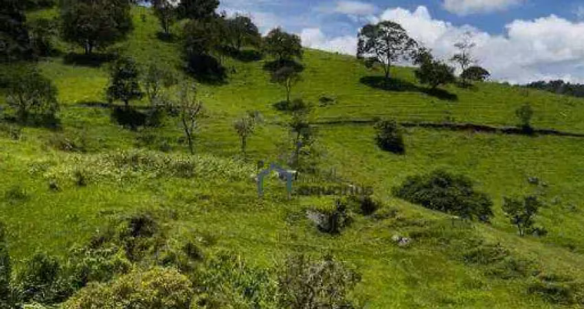 Área à venda, 193600 m² por R$ 1.500.000,00 - Bairro do Paiol Velho - São Bento do Sapucaí/SP