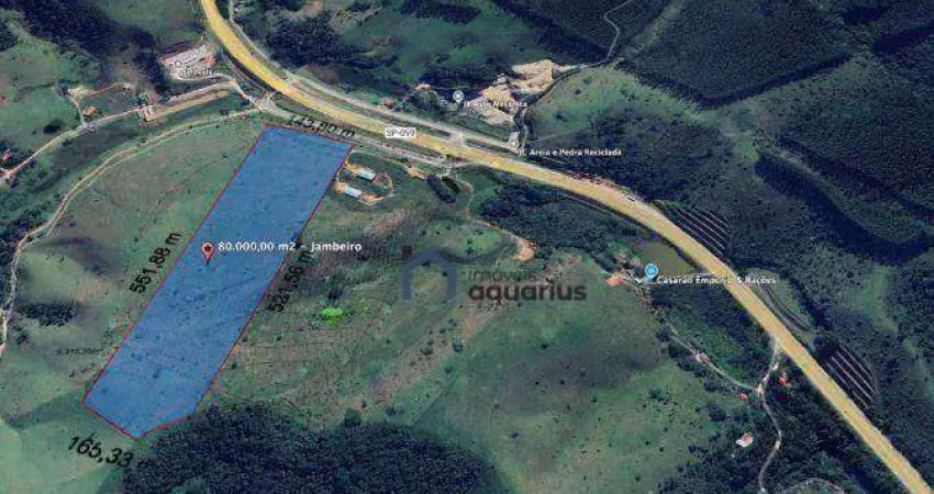 Área à venda, 80.000 m² por r$ 8.000.000 - canaã - jambeiro/sp