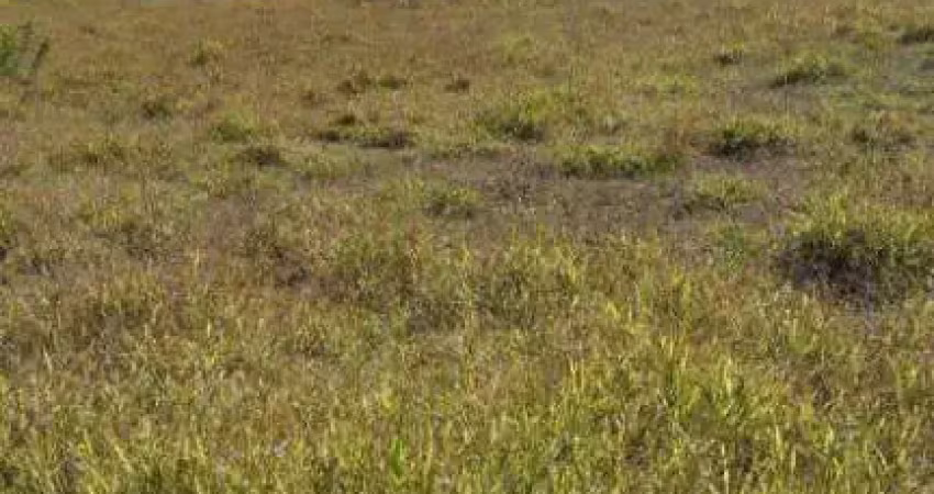 Terreno à venda no Bairro dos Tuncuns, Pedra Bela 