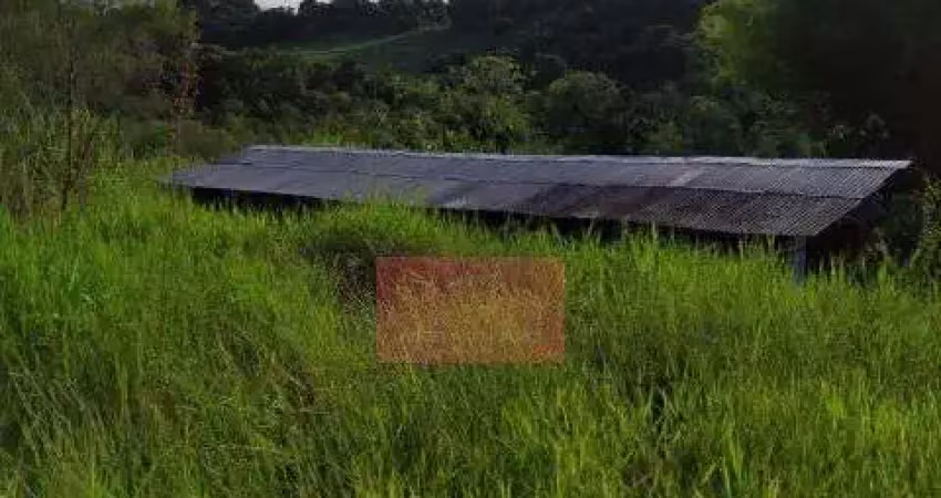 Chácara / sítio com 1 quarto à venda na Não informado, 1, São Luiz, Londrina