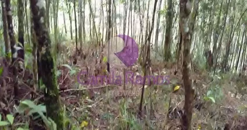 Terreno residencial à venda, somma, ribeirão pires/sp