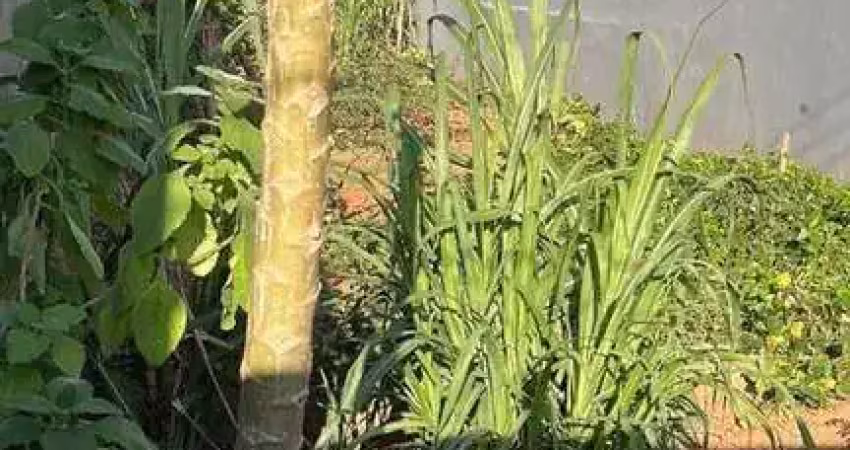 Terreno à venda no Parque Maria Helena, Suzano 