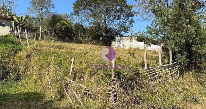 Terreno à venda, 600 m² por R$ 110.000,00 - Jardim Nova Ipelândia - Suzano/SP