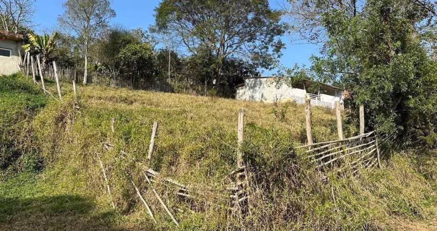 Terreno à venda, 600 m² por R$ 110.000,00 - Jardim Nova Ipelândia - Suzano/SP