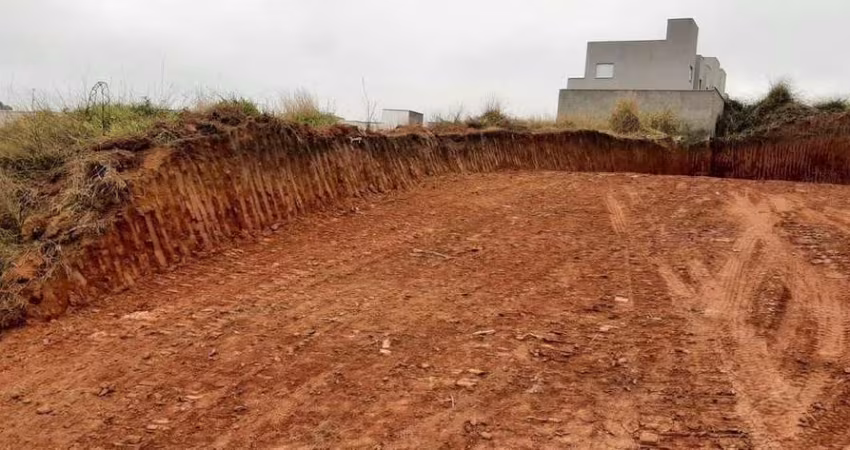 Terreno à venda, 500 m² por R$ 225.000,00 - Vila São Paulo - Mogi das Cruzes/SP