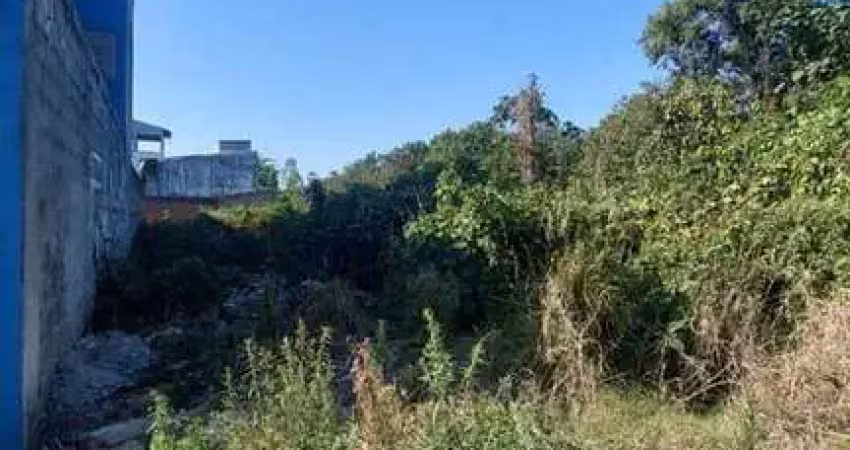 Terreno comercial à venda no Parque Santa Rosa, Suzano 