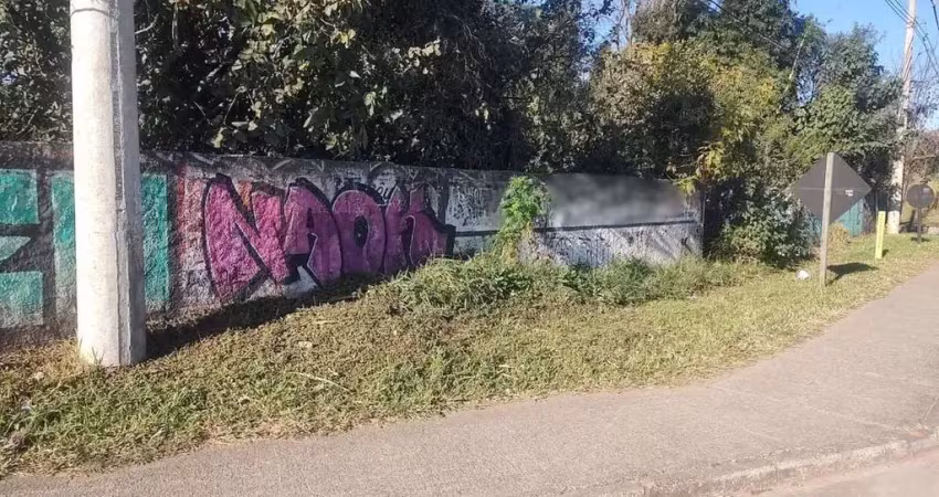 Terreno comercial para alugar no Ipelândia, Suzano 