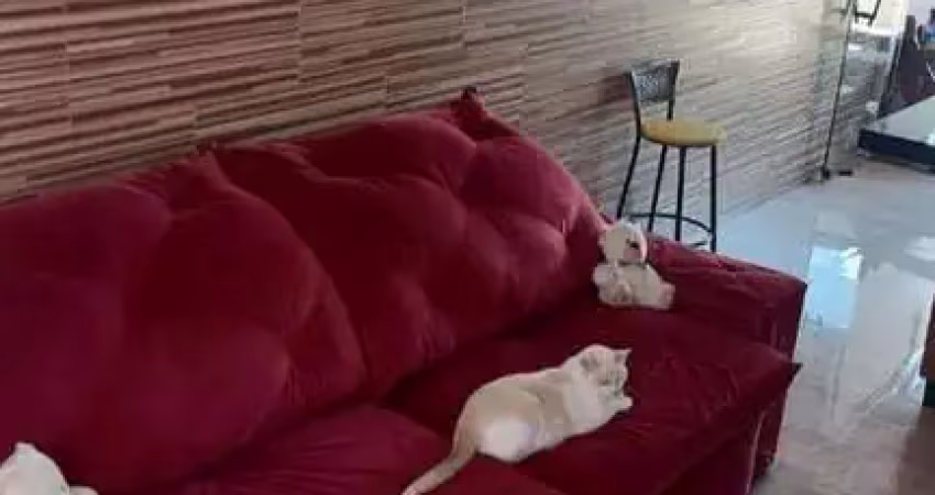 Sobrado com 2 dormitórios à venda, 78 m² por r$ 475.000,00 - jardim modelo - suzano/sp