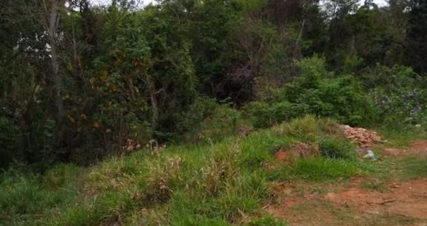 Terreno para Venda em Piedade, Jurupara