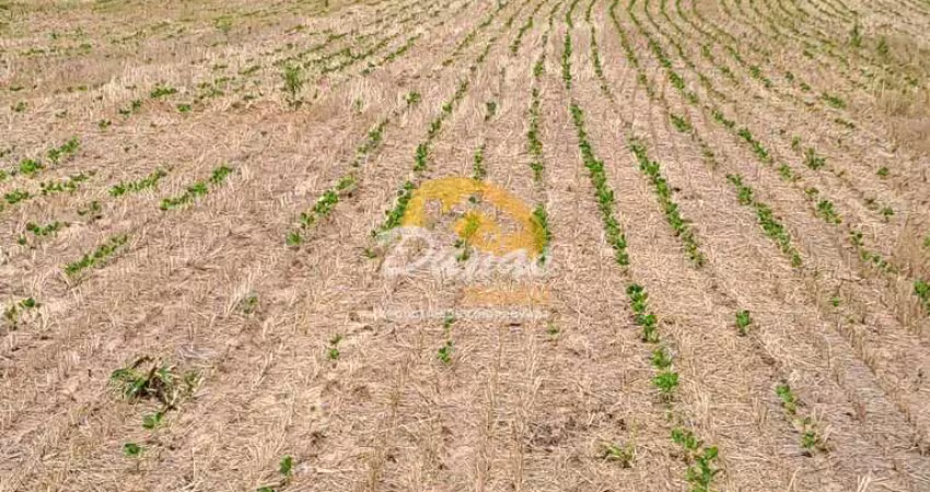Terreno à venda no Barrocadas (Distrito), Santo Antônio da Patrulha 