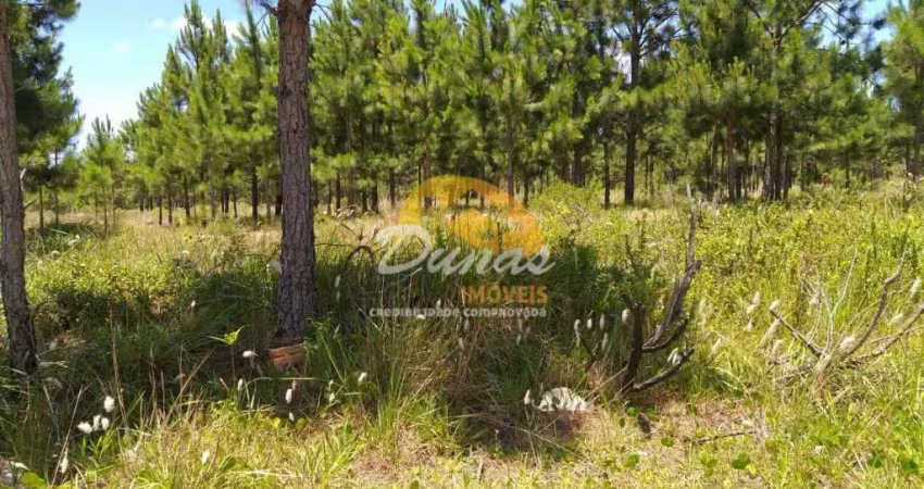 Terreno à venda no Nova Tramandaí, Tramandaí 