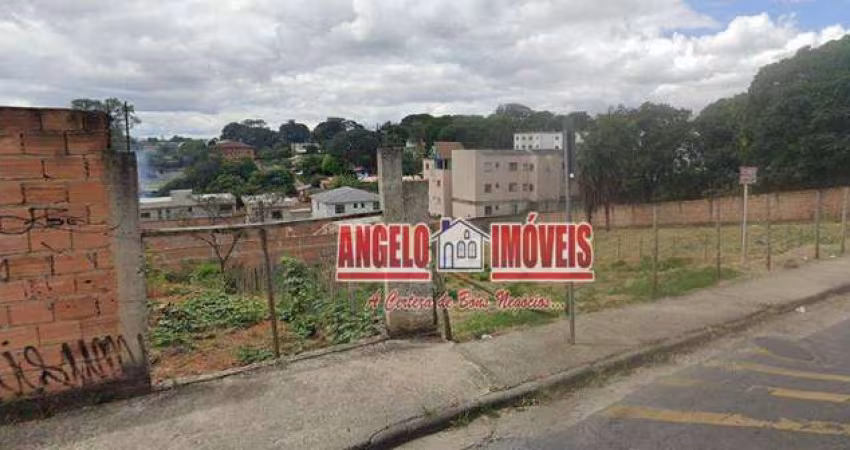 Terreno à venda, 1000 m² por R$ 750.000,00 - Braúnas - Belo Horizonte/MG