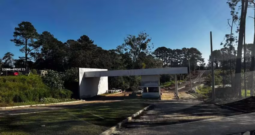 Terreno à venda na Rodovia Tapir Rocha, 6490, São Lucas, Viamão