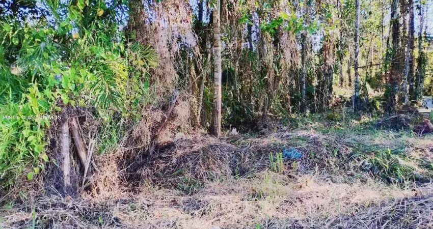 Terreno para venda em caraguatatuba, balneário dos golfinhos