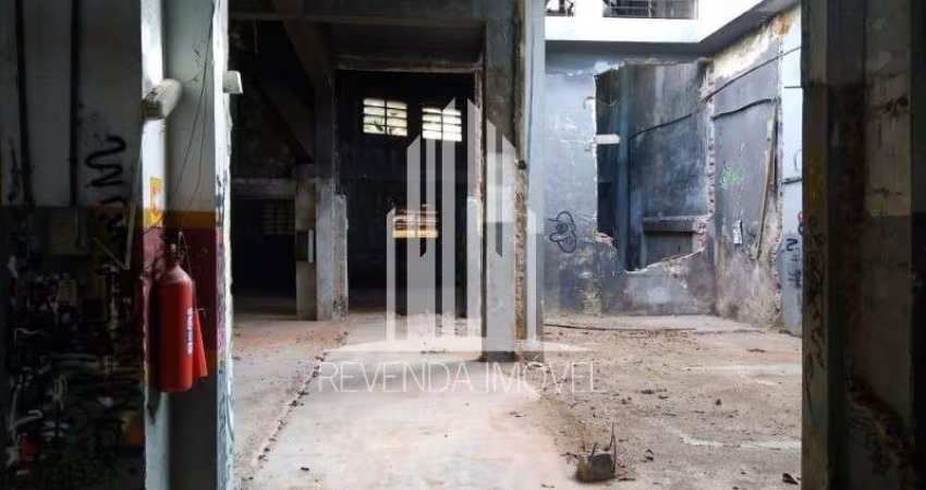 Galpão Comercial para Locação em São Paulo-SP, bairro Cambuci, 1.200m² de Área Disponível!