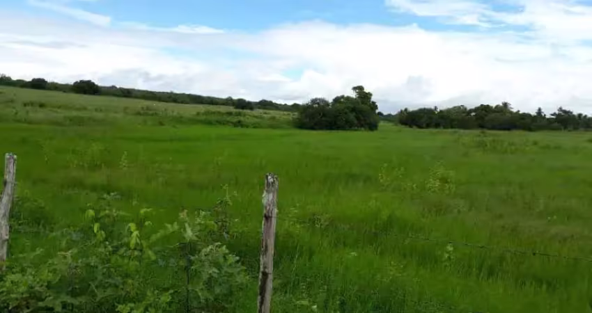 Fazenda à venda na Praça da Bandeira, ITAPICURU, Centro, Itapicuru