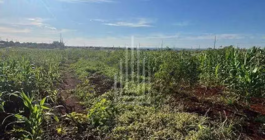Terreno à venda na Avenida Nossa Senhora do Carmo, Caramuru, Itaipulândia